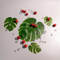 uploads/erp/collection/images/Home Garden/CongDing/XU0611685/img_b/XU0611685_img_b_2